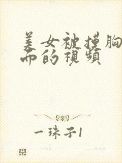 美女被摸胸摸下面的视频