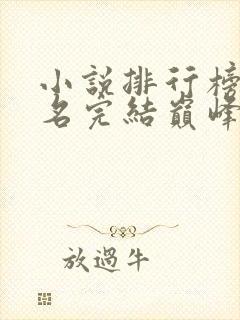 小说排行榜前十名完结巅峰之作