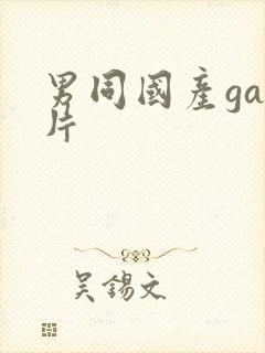 男同国产gay片