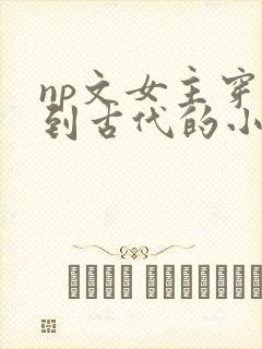 np文女主穿越到古代的小说一开始是屠