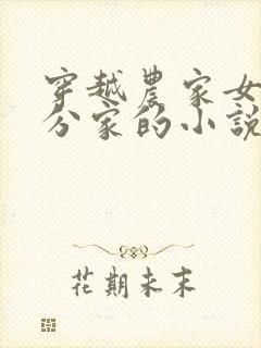 穿越农家女种田分家的小说封面