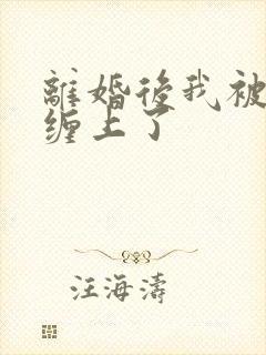 离婚后我被前夫缠上了封面