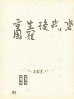 重生后我变成了团宠封面