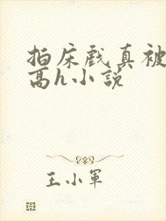 拍床戏真被肉h高h小说封面