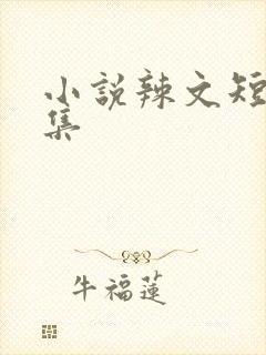 小说辣文短篇合集