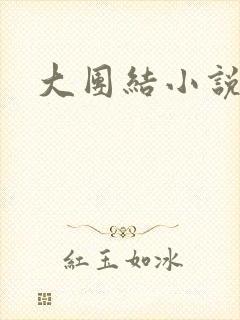 大团结小说阅读