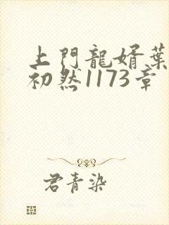 上门龙婿叶辰萧初然1173章封面