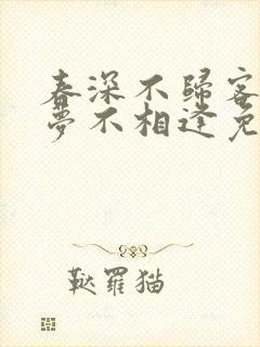 春深不归客,清梦不相逢免费封面