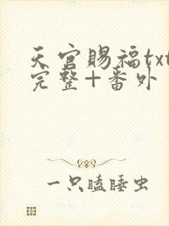 天官赐福txt完整+番外 txt下载