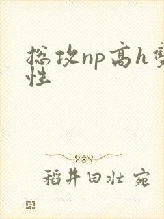 总攻np高h双性