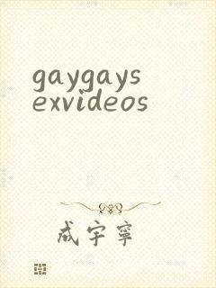 gaygaysexvideos封面