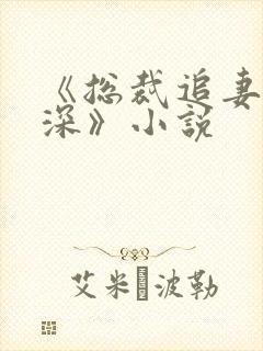 《总裁追妻套路深》小说