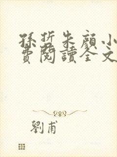 孙哲朱颜小说免费阅读全文最新章节