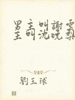 男主叫谢云迟女主叫沈晚梨的小说