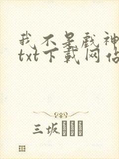 我不是戏神小说txt下载网站