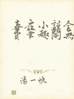 春夜小说全文免费笔趣阁无弹窗封面