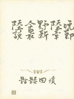 陆今野陆晚笙小说最新章节更新