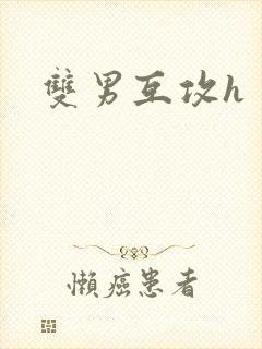 双男互攻h封面