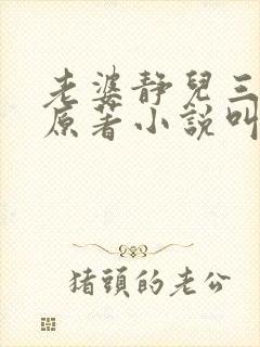 老婆静儿三部曲原著小说叫什么封面