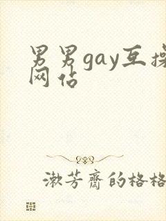 男男gay互操网站