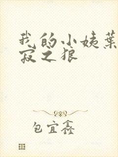 我的小姨叶凡孤寂之狼封面