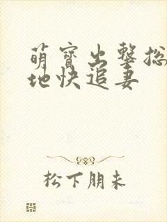萌宝出击总裁爹地快追妻