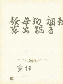 骚母狗 调教 露出 跪着