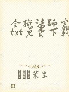 全职法师完整版txt免费下载