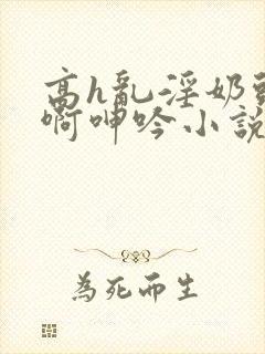 高h乱淫奶头嗯啊呻吟小说h封面