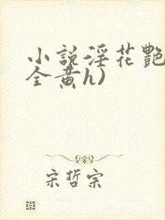 小说淫花艳史(全黄h)封面