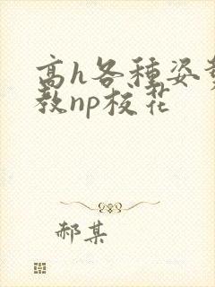高h各种姿势调教np校花