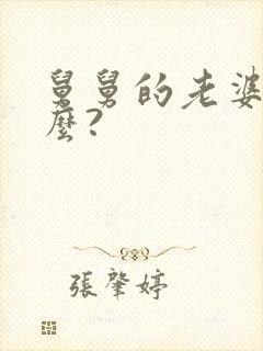 舅舅的老婆叫什么?