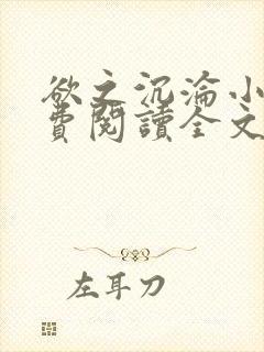 欲之沉沦小说免费阅读全文封面