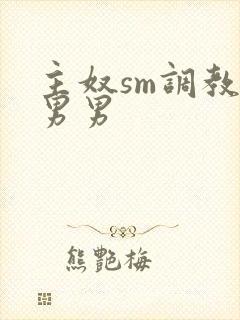 主奴sm调教文男男封面