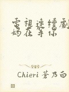 电视连续剧 妈妈在等你