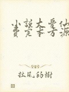 小说大爱仙尊免费完本方源封面
