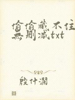 偷偷藏不住番外无删减txt封面