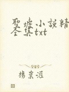 圣墟小说精校版全集txt