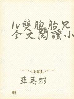 1v双胞胎兄弟全文阅读小说