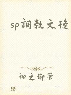 sp调教文后宫封面