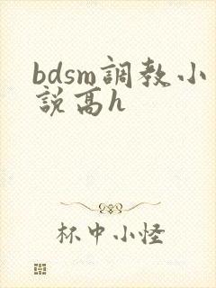 bdsm调教小说高h