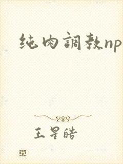 纯肉调教np文