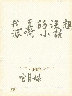 我真的没想当反派啊 小说封面