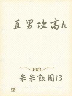直男攻高h