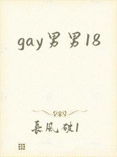 gay男男18