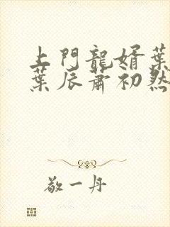 上门龙婿叶辰 叶辰萧初然结局封面