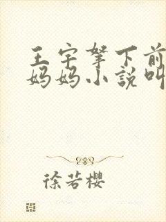 王宇拿下前女友妈妈小说叫什么名字