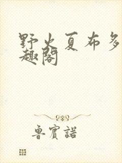 野火夏布多昂笔趣阁封面