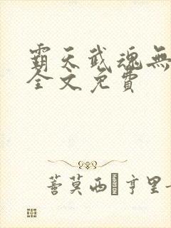 霸天武魂无弹窗全文免费封面