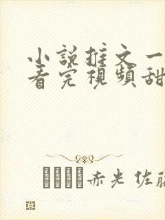 小说推文一口气看完视频甜文